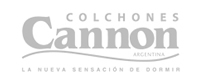 Cannon