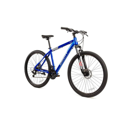 Bicic Gravity R29